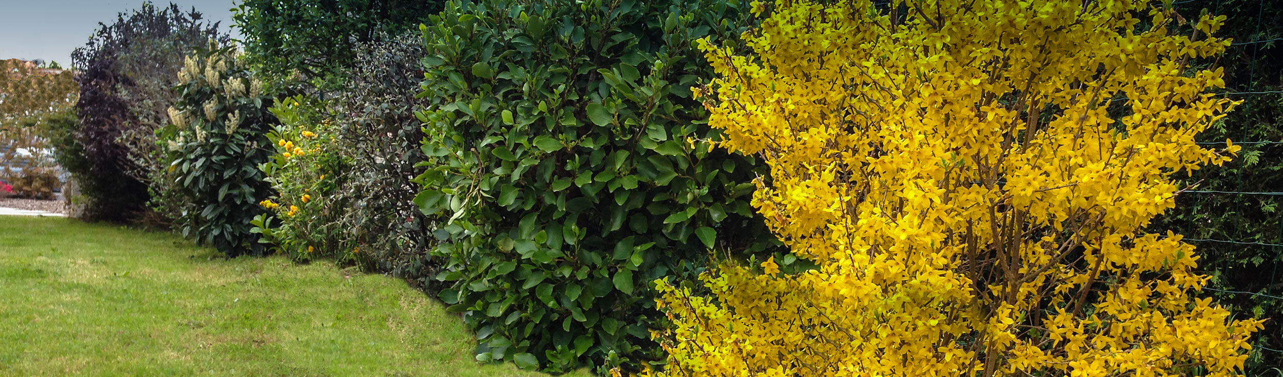 Garden design Chiemsee horticulture
